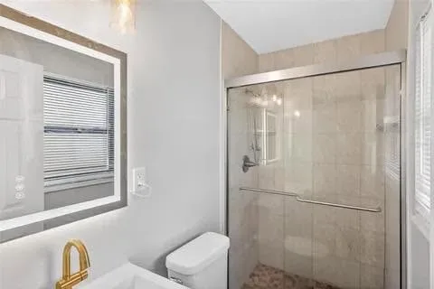 Gallery image 15